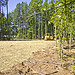 New Radio Tower Construction Image Thumb